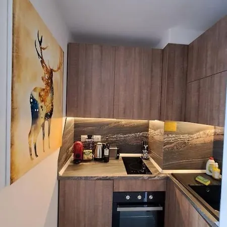 Large With View In Gardens Apartament Boroveț