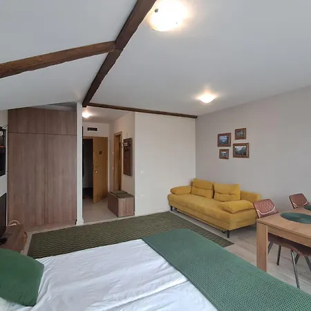 Large With View In Gardens * Boroveț