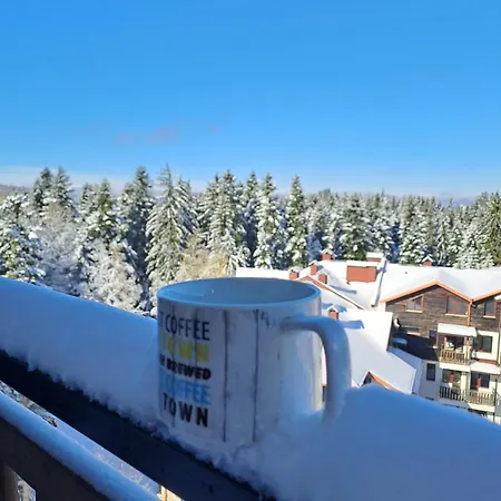 Daire Large With View In Gardens Borovets