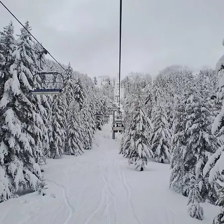 Large With View In Gardens Borovets