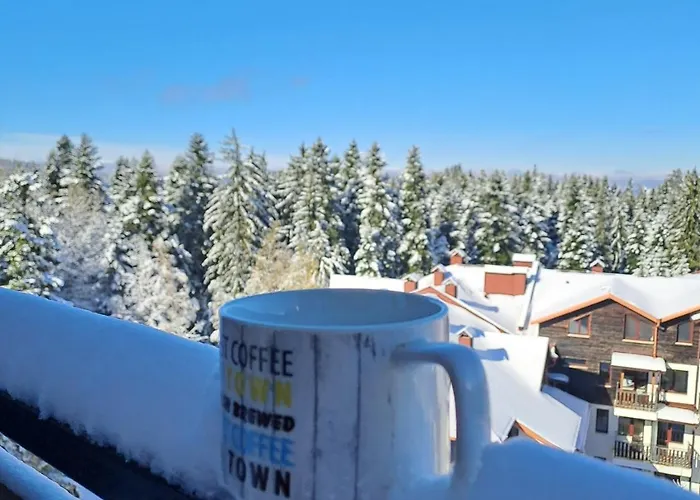 Appartamento Large With View In Gardens Borovets